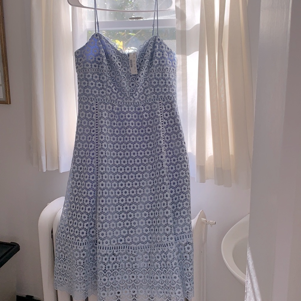 J. Crew Blue Dress